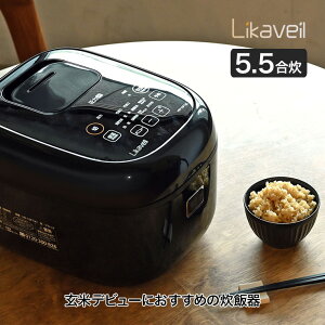 Likaveil (CJx) IHĔ萆ъ HN-10FT   茺 ͂  \@\ ^C}[