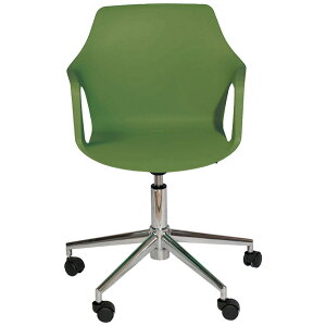 LX^[t ֎q `Fg Cerantola COLOSiRXj xXp2XB[x 4582255107452