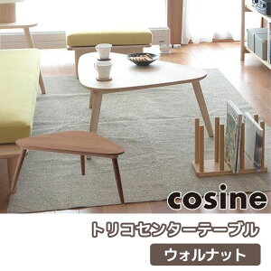 yv[gtz RTC cosine gRZ^[e[u EHibg TA-12NW rOe[u ؐ  Ƌ 