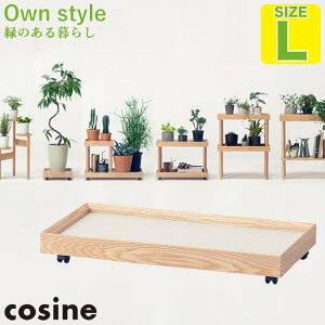 yv[gtz RTC cosine vg[o[ L GP-02CT Ƌ ϗtA LX^[t 