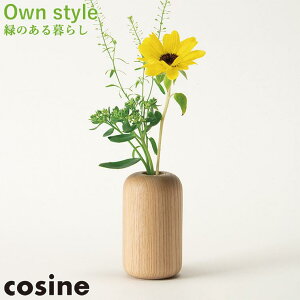 yv[gtz RTC cosine Ehx[X GP-09CT Ƌ ԕr 