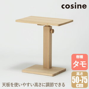 yv[gtz cosine RTC }Cg TChe[u() i` TA-21NT C ؐ 