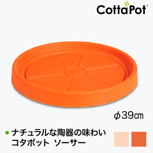 Cottapot R^|bg \[T[ 8005 CT-8005