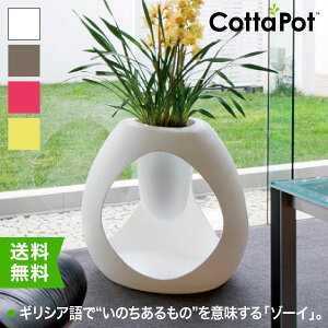 Cottapot Zoie R^|bg v^[ ][C 72cm CT-8885A