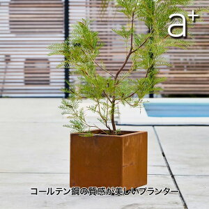 a+ design (G[vXfUC) R[e| Patina(peBi)V[Y XNGAv^[ W300 AHL-CP0303PR v^[ ^   ` lp` ϋv ϕH Ԓd K[fjO fbL