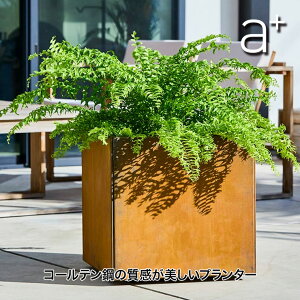 a+ design (G[vXfUC) R[e| Patina(peBi)V[Y XNGAv^[ W500 AHL-CP0505PR v^[ ^   ` lp` ϋv ϕH Ԓd K[fjO fbL