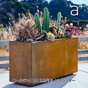 a+ design (G[vXfUC) R[e| Patina(peBi)V[Y N^Ov^[ W900 AHL-CP0903PR v^[ ^   ` lp` ϋv ϕH Ԓd K[fjO f