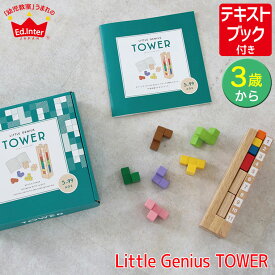 【レビュー特典あり】 積み木 エドインター ジェニ GENI Little Genius TOWER 4941746818930 知育玩具 おもちゃ 2歳 3歳 4歳 5歳 6歳 小学生 赤ちゃん出産祝い 木製 知育 女の子 男の子 木のおもちゃ 知育