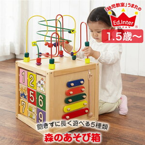 【レビュー特典あり】 エドインター ジェニ GENI 森のあそび箱 4941746806487 知育玩具 おもちゃ 知育 木製 0歳 1歳 1歳半 2歳 一歳 誕生日 プレゼント 男の子 女の子 型はめ 出産祝い モンテッソー