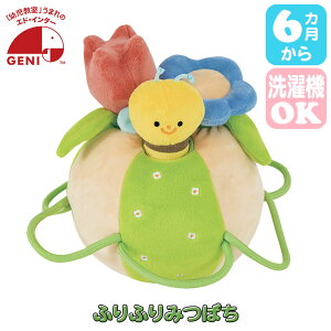 GhC^[ WFj GENI ӂӂ݂΂ 4941746827369 g 炪 oYj xr[ mߋ V 6 12  1 2 z NX}Xv[g