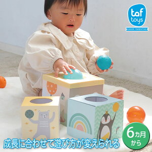 yr[Tz GhC^[ WFj GENI ^tgC 낭܂̃X^bLOhbv{[ 4941746828489 mߋ oYj  m炨 Ԃ 6P 6J 0 j̎q 