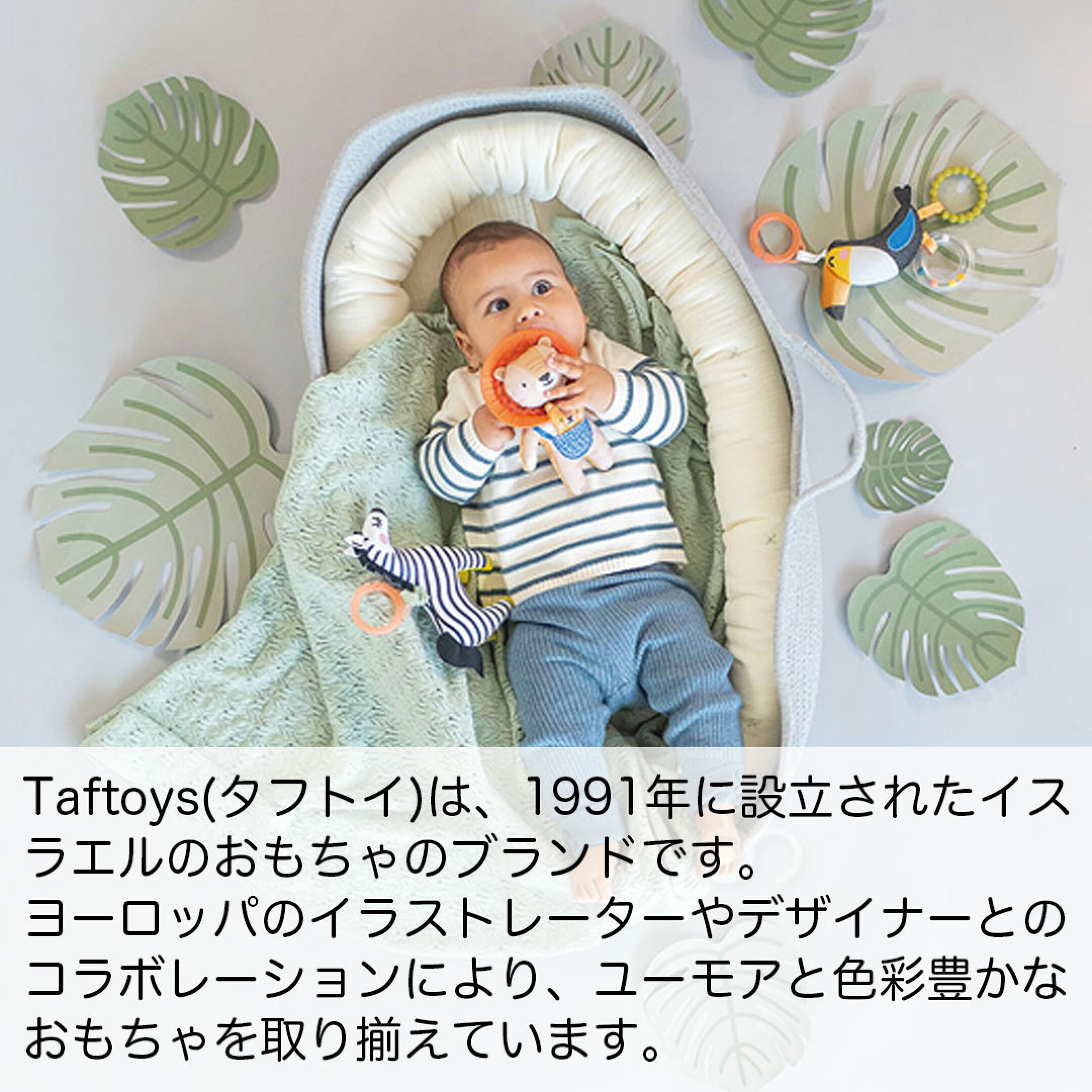 Taftoys(タフトイ)は、1991年に設立されたイスラエルのおもちゃのブランドです。 ヨーロッパのイラストレーターやデザイナーとのコラボレーションにより、ユーモアと色彩豊かなおもちゃを取り揃えています。