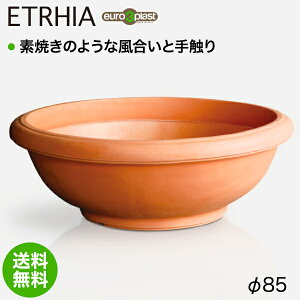 v^[ ^ Euro 3 Plast Etrhia Giottus [X[vXg GgA v^[ WIb^X85 ER-2142