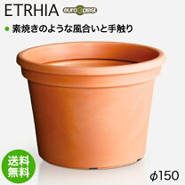 楽天市場】ユーロスリープラストの通販
