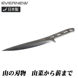 EVERNEW [R iCt AEghA Lv EBY661