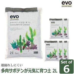 �y�G���g���[�ōő�100%�o�b�N�z evo�����T�{�e�������C�Ɉ�y2Lx6 54000 ��������
