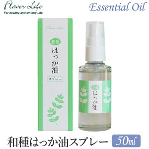 t[o[Ct a͂Xv[ 50ml 05673 nbJ GbZVIC }XN L