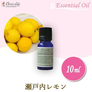 t[o[Ct FlavorLife Wpj[Y GbZVIC ˓10ml 00072