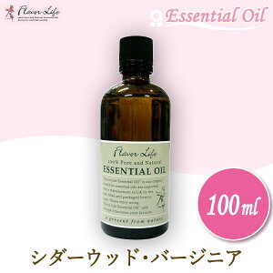 t[o[Ct Flavor Life GbZVIC V_[EbhEo[WjA 100ml 00115