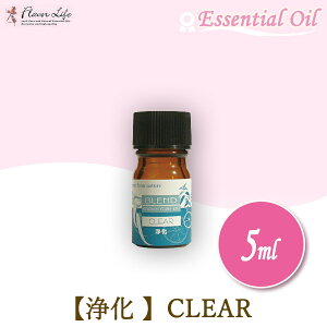 t[o[Ct Flavor Life uhGbZVIC  5ml 01902