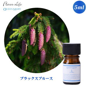 t[o[Ct Flavor Life NC[[I[KjbN ubNXv[X 5mL 665 A}IC GbZVIC I[KjbN