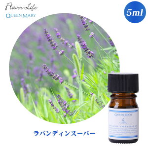 t[o[Ct Flavor Life NC[[ I[KjbN ofBX[p[ 5mL 667 A}IC GbZVIC I[KjbN