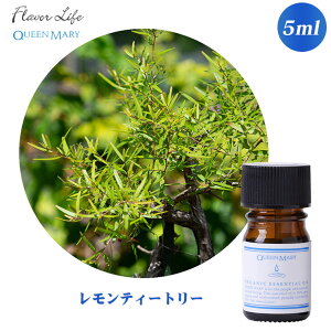 t[o[Ct Flavor Life NC[[ I[KjbN eB[g[ 5mL 669 A}IC GbZVIC I[KjbN