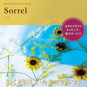 J^OMtg \ ~Xg 501m011 Mtg Ԃ 蕨 a ̓ ̓ j TԂ j oYj Cj Vzj j N v[g  y2025N Ε 