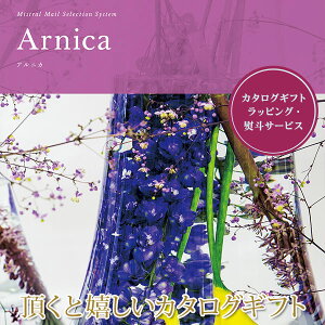 J^OMtg AjJ ~Xg 501m059 Mtg Ԃ 蕨 a ̓ ̓ j TԂ j oYj Cj Vzj j N v[g  y2025N 