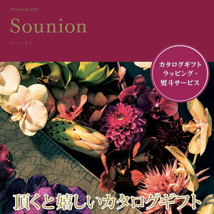 J^OMtg X[jI v~A 501m121 Mtg Ԃ 蕨 a ̓ ̓ j TԂ j oYj Cj Vzj j N v[g  y2025N 