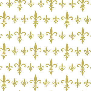 }hi[ iSji50j Mtg 蕨 j Mtg v[g Ԃ Ε  V59111