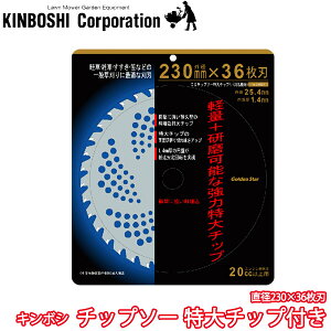 L{V `bv\[ `bvt a230×36n uiv 210424