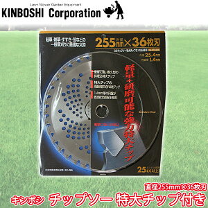 L{V `bv\[ `bvt a255×36n uiv 210425