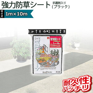 L{V kinboshi ͖hV[g(ubN) Rۍܓ 1m×10m 7005