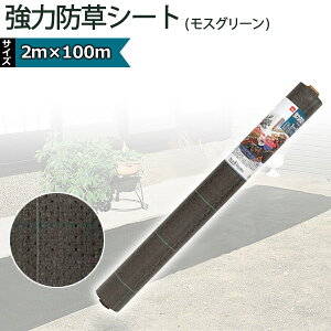 L{V kinboshi ͖hV[g(XO[) 2m×100m 7219 