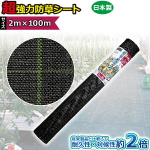 L{V S[fX^[ ͖hV[g(ubN) 2m×100m 7224 