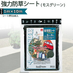 L{V kinboshi ͖hV[g(XO[) 1m×10m V[g6{ 7675 