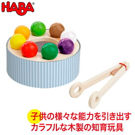 ハバ HABA エデュケーション レインボーサラダ WF158790 送料無料 おもちゃ 知育玩具 木製 誕生日プレゼント 1歳 2歳 3歳 木のおもちゃ 学習トイ 学習 積み木 数 図形