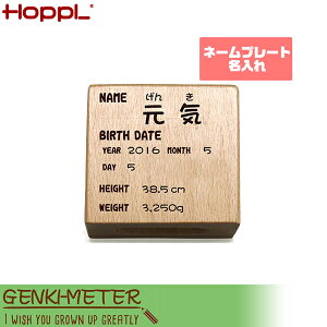 HOPPL(zbv) GENKI-METER QL[^[ l[v[g  ؐ GE-NAME a