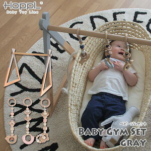 yN[|p3%OFFz HOPPL zbv Baby Toy Line xr[WZbg xr[W{(O[)+nMOgC(3Zbg) BTL-BGS-GY xr[ Ԃ 0 xbh[ mߋ xr[W 