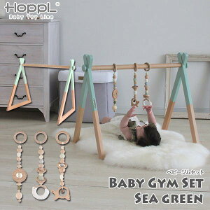 HOPPL zbv Baby Toy Line xr[WZbg xr[W {(V[O[)+nMOgC(3Zbg) BTL-BGS-SG  xr[ Ԃ 0 xbh[ oYj  xr[W 