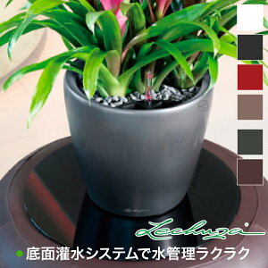 `[U v^[ LECHUZA NVREW[J[21 Classico Jokar 21 LE-1021AJ-B ʋ ʟ 