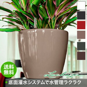 `[U v^[ LECHUZA NVREW[J[35 Classico Jokar 35 LE-1035AJ-B ʋ ʟ 