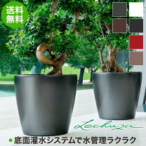 楽天市場】レチューザ 50 クラシコの通販