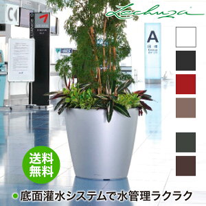 `[U v^[ LECHUZA NVR60 CLASSICO60 LE-1060  ʋ ʟ 