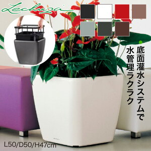 `[U v^[ LECHUZA NAhEW[J[50 Quadro Jokar 50 LE-2050AJ-B ʋ ʟ 