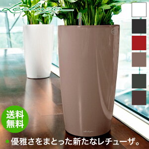 `[U v^[ h 32 LE-3132 ʋ ʟ  