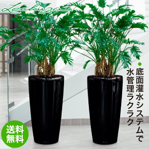 `[U v^[ h 40 LE-3140 ʋ ʟ  