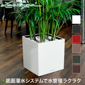 `[U v^[ L[uEv~A 40 LE-3440 ʋ ʟ  