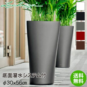 `[U v^[ LECHUZA f^30 DELTA30 LE-5030C-1 ʋ ʟ  